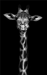MonoWild Monochrome Tierleinwand-Poster | Hochwertige Wandkunst | Elegantes Design für Zuhause