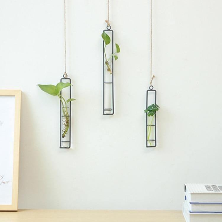 FloatTerrarium Hängendes Glas-Terrarium | Eisenhalterung | Modernes Design | Perfekt für Pflanzenvermehrung & Dekoration