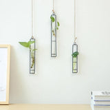 FloatTerrarium Hängendes Glas-Terrarium | Eisenhalterung | Modernes Design | Perfekt für Pflanzenvermehrung & Dekoration