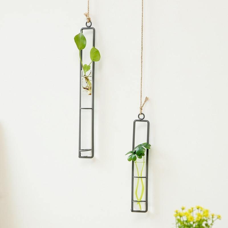 FloatTerrarium Hängendes Glas-Terrarium | Eisenhalterung | Modernes Design | Perfekt für Pflanzenvermehrung & Dekoration