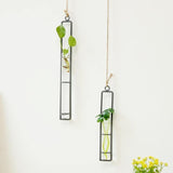 FloatTerrarium Hängendes Glas-Terrarium | Eisenhalterung | Modernes Design | Perfekt für Pflanzenvermehrung & Dekoration