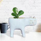 KittyCharm Glasiertes Keramik-Pflanzgefäß | Katzen-Design | Stilvolle Deko