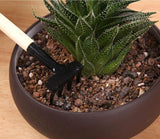 GreenKit Indoor Gartenwerkzeug-Set | Perfekt für Zimmerpflanzen | Praktisch & Hochwertig