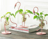 FlamigoBloom Tropische Deko-Vase | Zimmerpflanzengefäß | Stilvolle Glasvase mit Flamingo-Design
