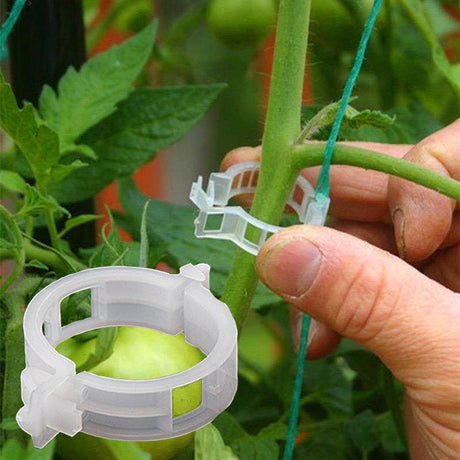 PlantFix Pflanzenhalter Clip Set | Stabilität für Pflanzenstiele | Einfache Befestigung | Unterstützung für gesundes Wachstum