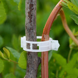 PlantFix Pflanzenhalter Clip Set | Stabilität für Pflanzenstiele | Einfache Befestigung | Unterstützung für gesundes Wachstum