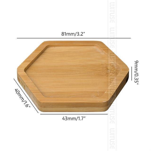 EcoTray Bambus Untersetzer für Blumentöpfe | Natürliche Pflanzenunterlagen in Verschiedenen Formen & Größen