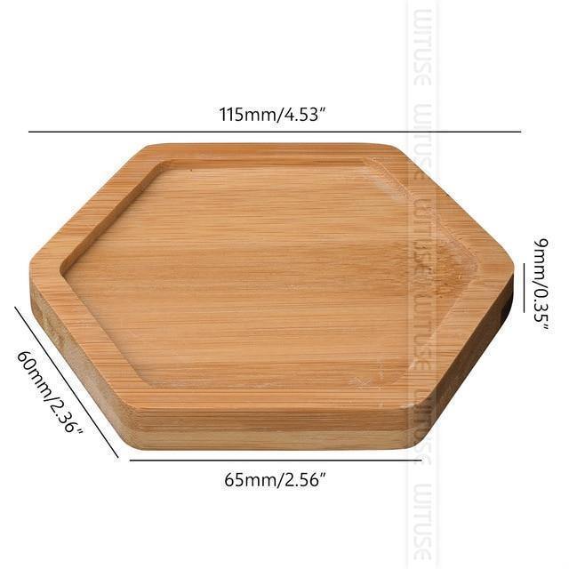 EcoTray Bambus Untersetzer für Blumentöpfe | Natürliche Pflanzenunterlagen in Verschiedenen Formen & Größen