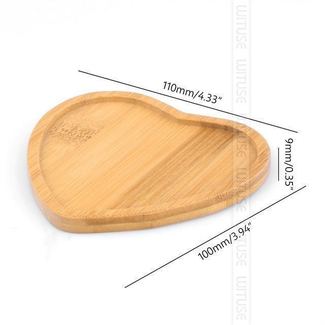 EcoTray Bambus Untersetzer für Blumentöpfe | Natürliche Pflanzenunterlagen in Verschiedenen Formen & Größen
