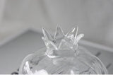 HydroPom Glas-Hydroponik Vase | Stilvolle Pflanzenvermehrung für Ihr Zuhause