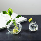 HydroPom Glas-Hydroponik Vase | Stilvolle Pflanzenvermehrung für Ihr Zuhause