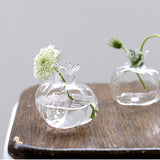 HydroPom Glas-Hydroponik Vase | Stilvolle Pflanzenvermehrung für Ihr Zuhause