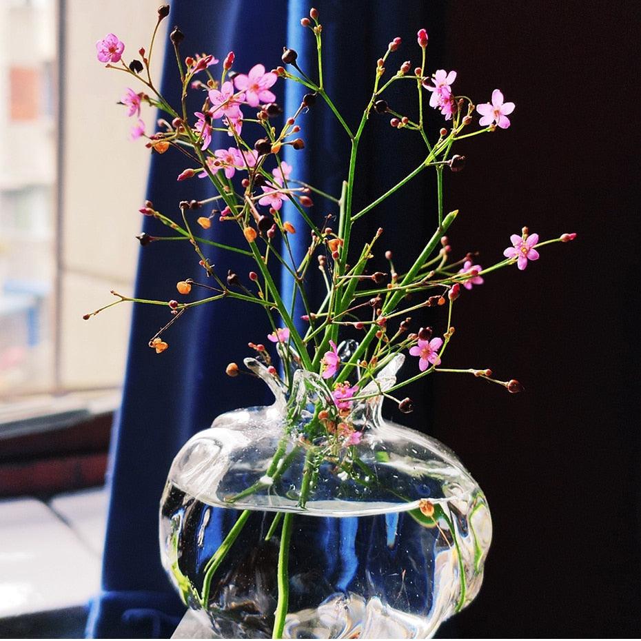 HydroPom Glas-Hydroponik Vase | Stilvolle Pflanzenvermehrung für Ihr Zuhause
