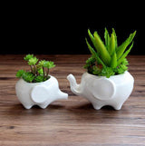 ElephantCharm Keramik Pflanztopf | Tierisches Design | Perfekt für Sukkulenten & Kräuter