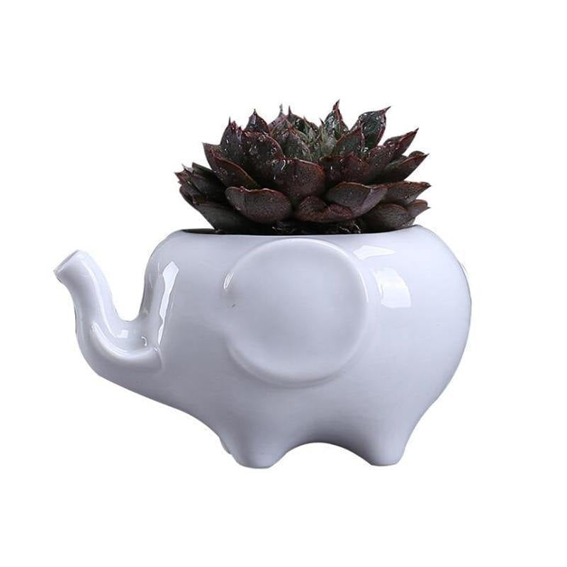 ElephantCharm Keramik Pflanztopf | Tierisches Design | Perfekt für Sukkulenten & Kräuter