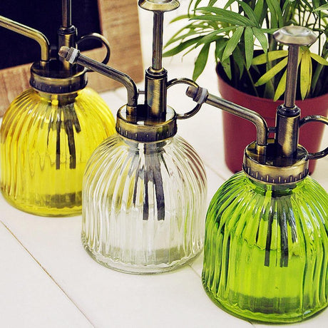 SpritzLuxe Glas-Pflanzensprüher in lebendigen Farben | Elegantes Design | Praktische Pflege für Ihre Pflanzen