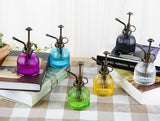 SpritzLuxe Glas-Pflanzensprüher in lebendigen Farben | Elegantes Design | Praktische Pflege für Ihre Pflanzen