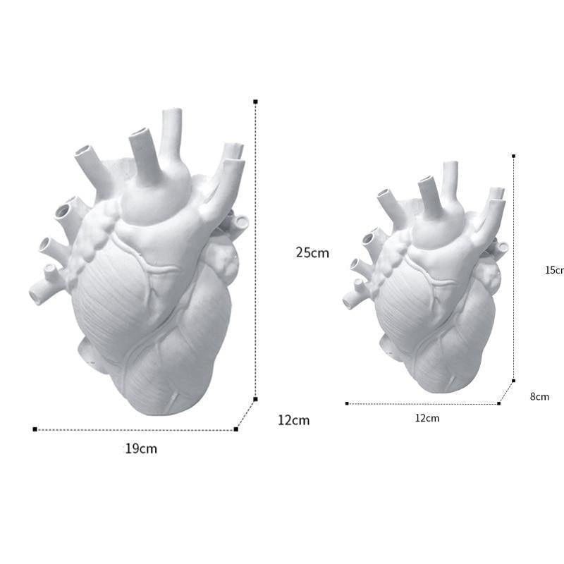 HeartSoul Herzförmige Keramikvase | Anatomisches Design | Dekovase für Zuhause | Stilvolle Blumenvase