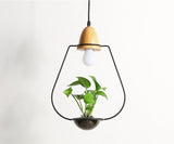 PlantLum Nordic Design Pendelleuchte mit Pflanzhalterung | Moderne Eisenlampe | Dekorative Beleuchtung
