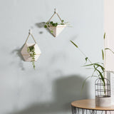 TerraHang Hängendes Geometrisches Terrarium | Stilvolle Pflanzen-Deko für Zuhause & Büro | In Dreieck & Hexagon Design