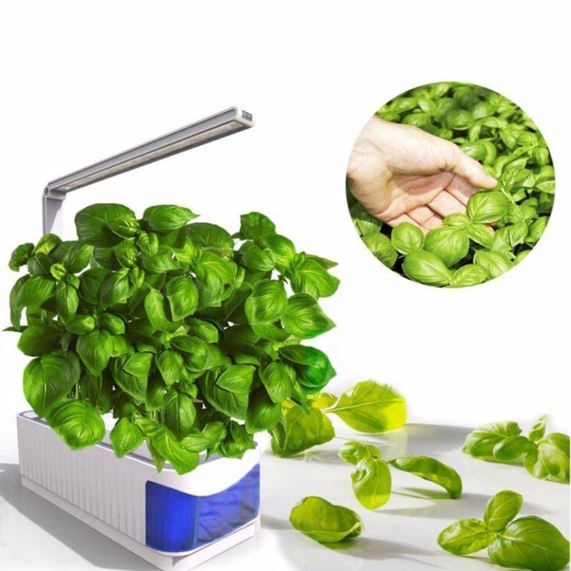 HerbGarden Hydroponisches LED-Kräuterbeet | Frische Kräuter das ganze Jahr über | Platzsparend | Einfache Bedienung