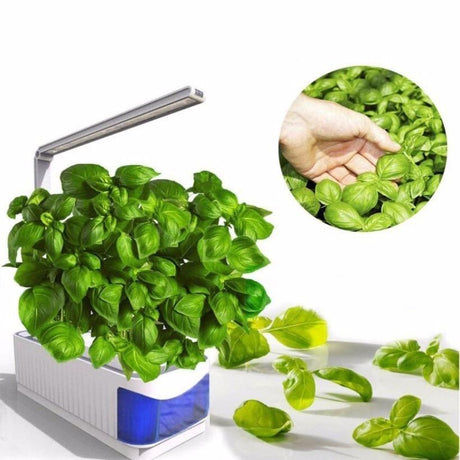 HerbGarden Hydroponisches LED-Kräuterbeet | Frische Kräuter das ganze Jahr über | Platzsparend | Einfache Bedienung