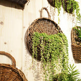 RattaBloom Wand-Pflanzgefäß aus Rattan | Hängender Pflanzenhalter | Dekoratives Garten-Accessoire