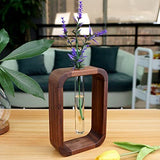 PlantSphere Hohler Pflanzenvermehrer | Dekorative Pflanzenzuchtstation | Perfekt für Zuhause & Büro