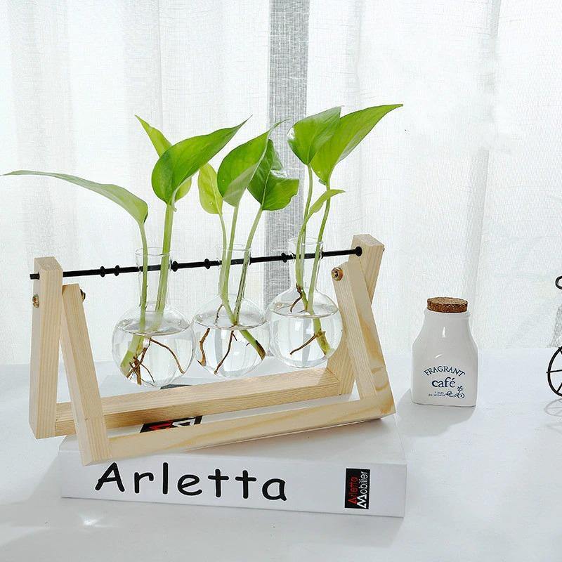 EcoGrow Glas Anzuchtvase mit Holzständer | Minimalistisches Design | Pflanzgefäß für Zuhause | Deko für Pflanzenliebhaber