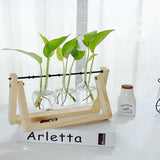EcoGrow Glas Anzuchtvase mit Holzständer | Minimalistisches Design | Pflanzgefäß für Zuhause | Deko für Pflanzenliebhaber