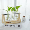 EcoGrow Glas Anzuchtvase mit Holzständer | Minimalistisches Design | Pflanzgefäß für Zuhause | Deko für Pflanzenliebhaber