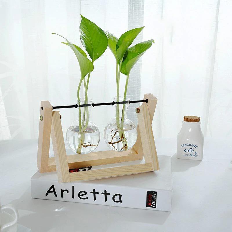 EcoGrow Glas Anzuchtvase mit Holzständer | Minimalistisches Design | Pflanzgefäß für Zuhause | Deko für Pflanzenliebhaber