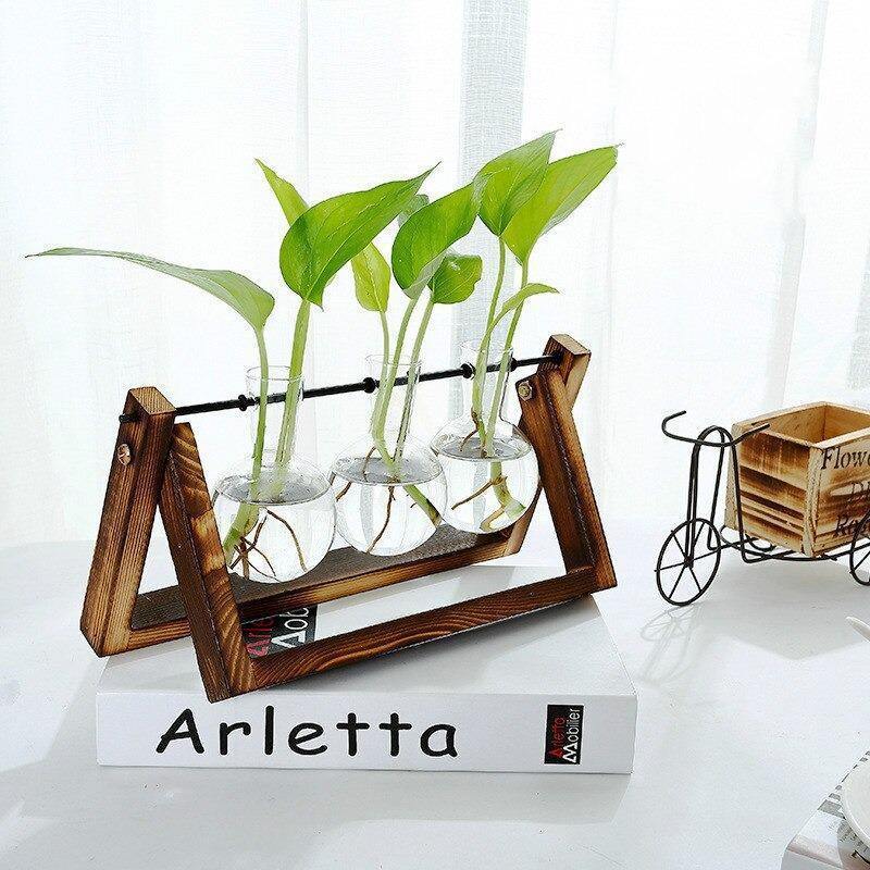 EcoGrow Glas Anzuchtvase mit Holzständer | Minimalistisches Design | Pflanzgefäß für Zuhause | Deko für Pflanzenliebhaber