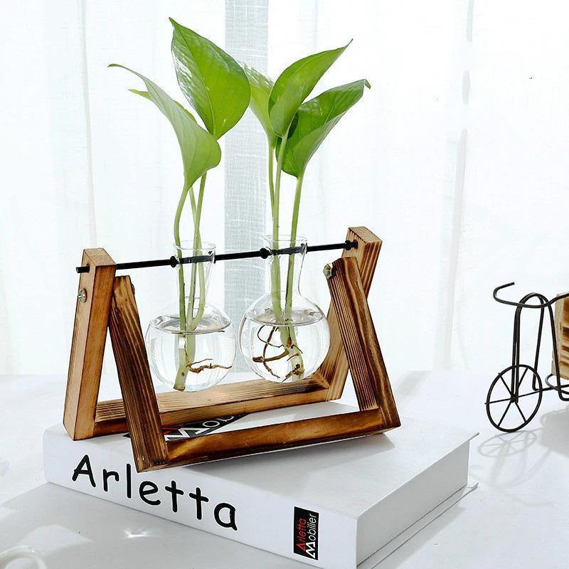 EcoGrow Glas Anzuchtvase mit Holzständer | Minimalistisches Design | Pflanzgefäß für Zuhause | Deko für Pflanzenliebhaber