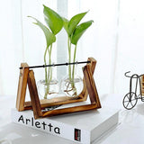 EcoGrow Glas Anzuchtvase mit Holzständer | Minimalistisches Design | Pflanzgefäß für Zuhause | Deko für Pflanzenliebhaber