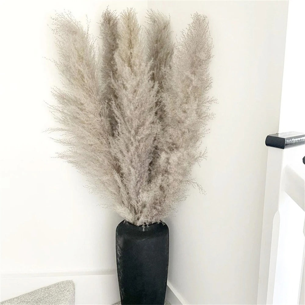 FeatherBloom Pampasgras | Große Federn für luxuriöse Dekoration | Trockenblumen für Zuhause & Events