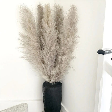 FeatherBloom Pampasgras | Große Federn für luxuriöse Dekoration | Trockenblumen für Zuhause & Events