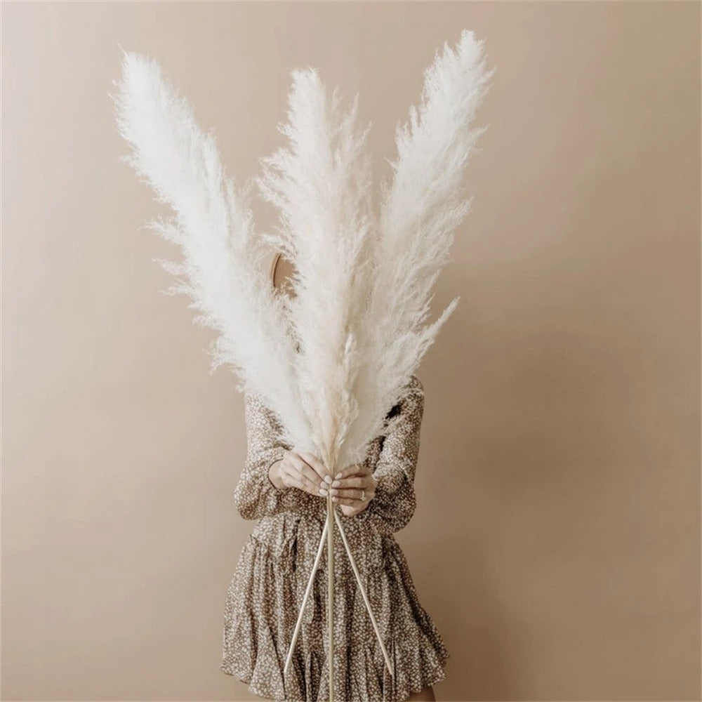 FeatherBloom Pampasgras | Große Federn für luxuriöse Dekoration | Trockenblumen für Zuhause & Events