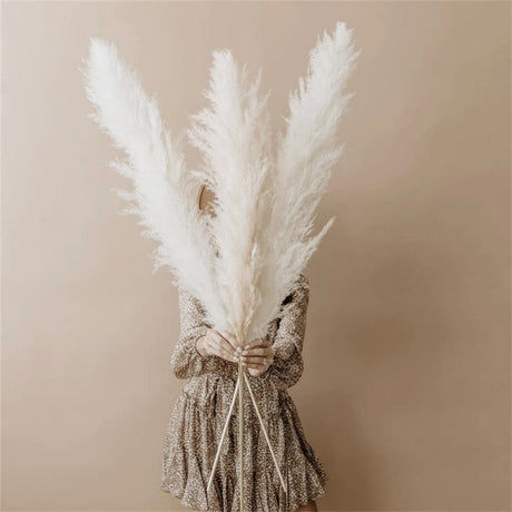 FeatherBloom Pampasgras | Große Federn für luxuriöse Dekoration | Trockenblumen für Zuhause & Events